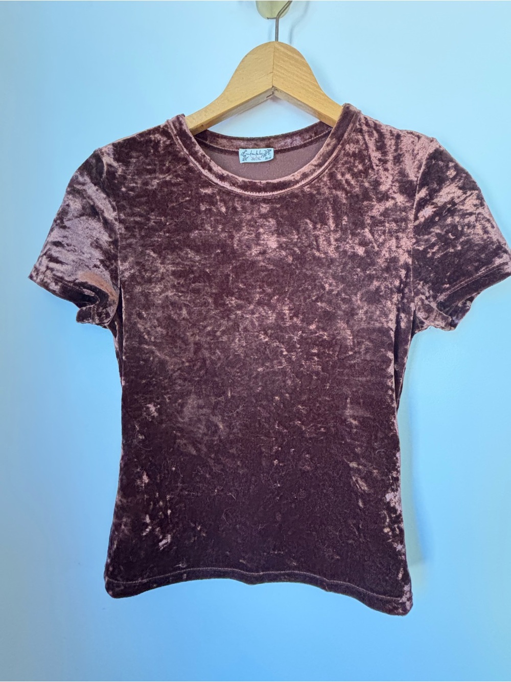 Free People Velour Short Sleeve Tee - Mauve Brown